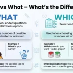 what is the difference between which and what